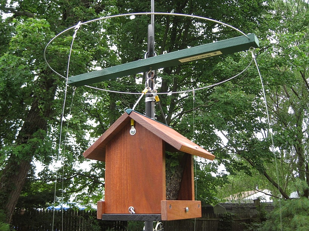 Magic Halo For Bird Feeders: Deter House Sparrows from your hanging feeder  with a Magic Halo